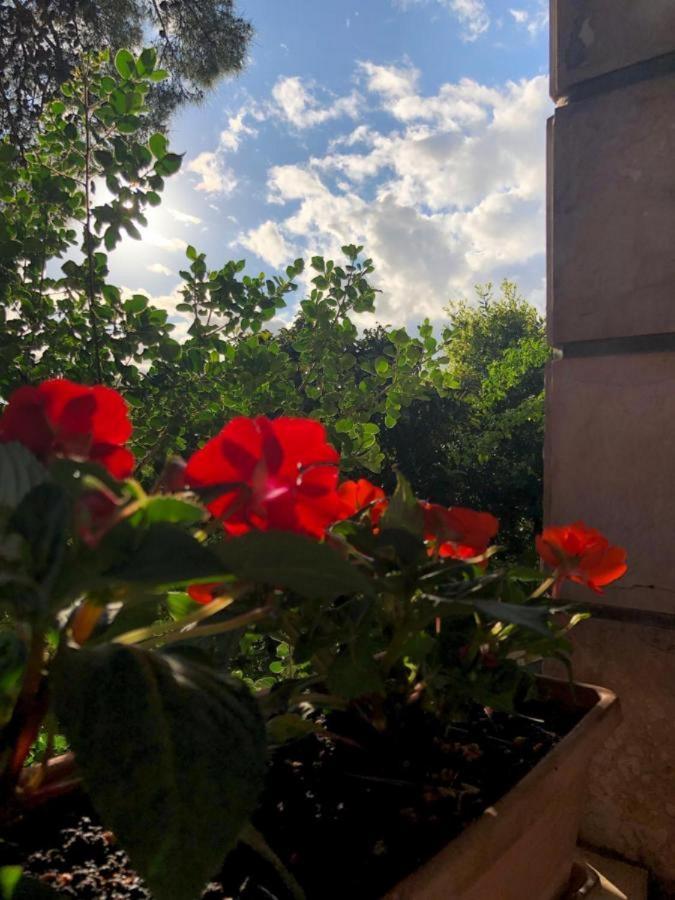 Sunone Dubrovnik Daire Dış mekan fotoğraf